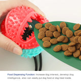Interactive leaking suction cup ropes for large dogs