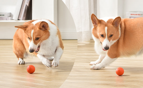 Electronic smart interactive dog,pet moving balls