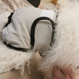 Reusable,washable  sanitary Panties for dog and cat