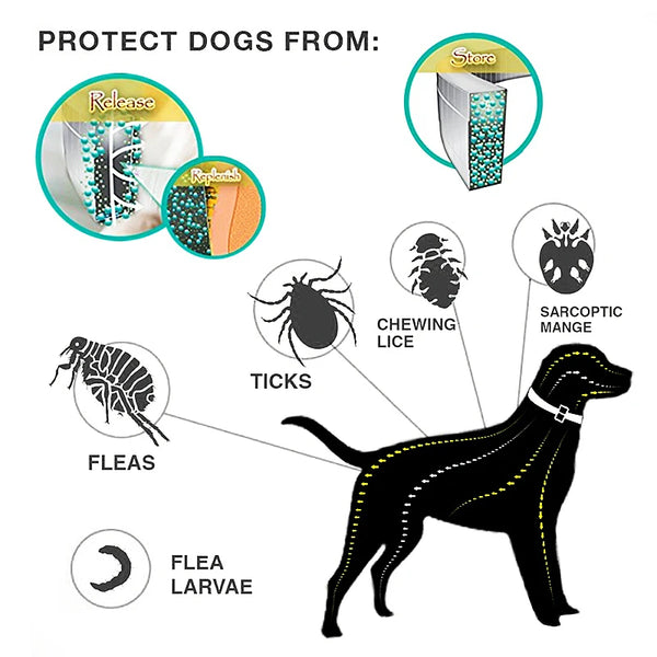 Anti flea tick collars for dog and cat