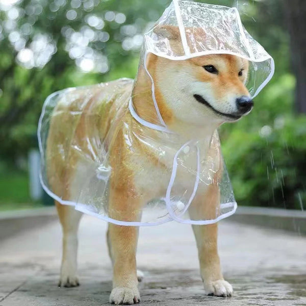 Transparent ,waterproof raincoat for pet