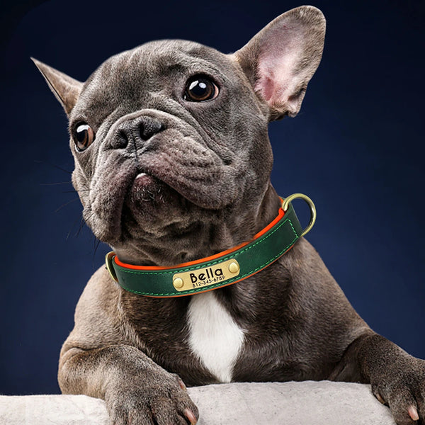 Customized Leather ID Nameplate Dog Collar