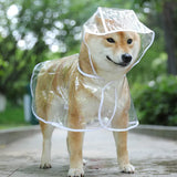 Transparent ,waterproof raincoat for pet