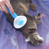 Pet Dog hair brush for kitten grooming